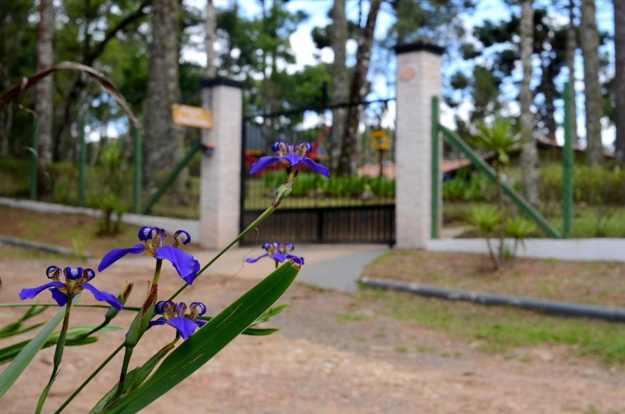 Hotel Pousada Paraiso Das Araucarias Monte Verde  Exterior foto