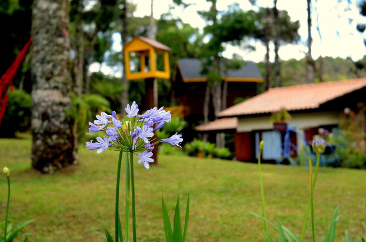 Hotel Pousada Paraiso Das Araucarias Monte Verde  Exterior foto